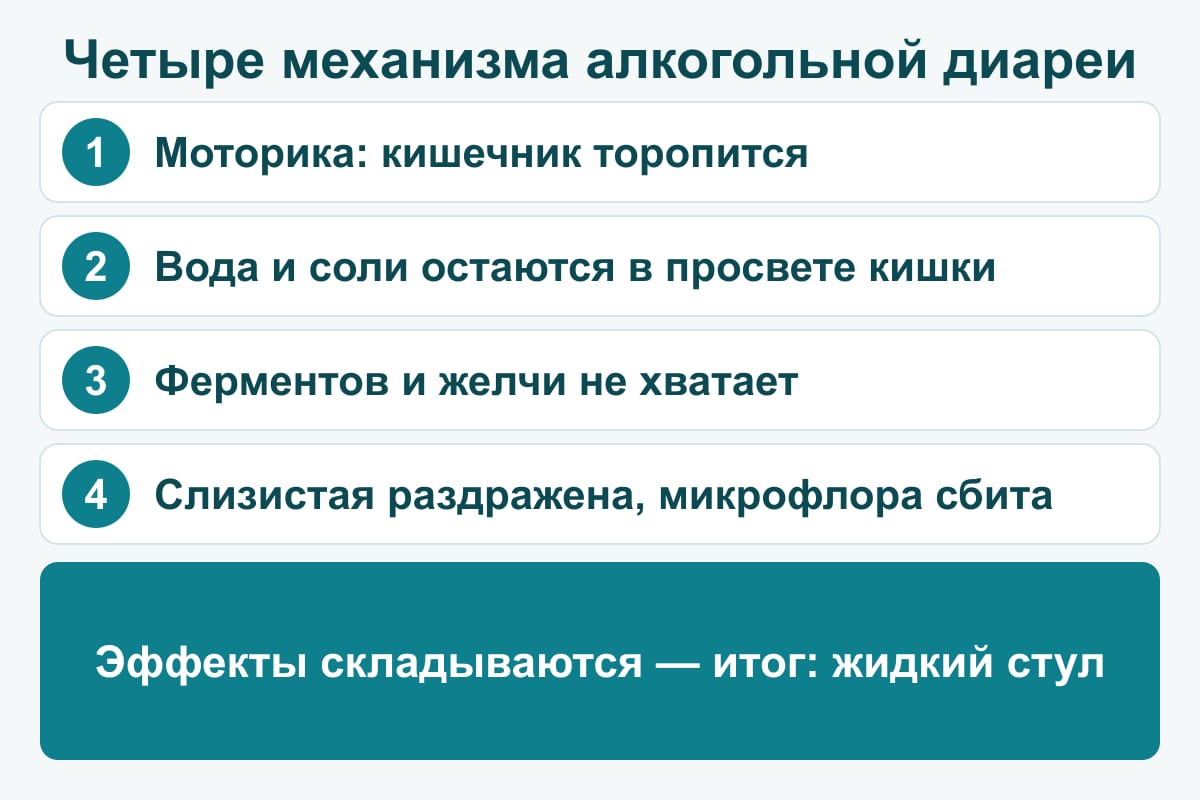 Схема: четыре механизма алкогольной диареи — разогнанная моторика, вода и соли остаются в просвете кишки, нехватка ферментов и желчи, раздражённая слизистая и сбитая микрофлора; итог — жидкий стул